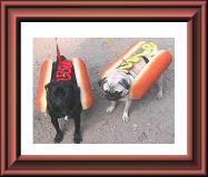 ��k�ł���I�H