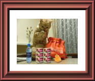 �������̎�