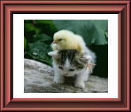 �C������