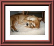 �p��������