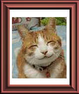 �ɂ�����