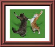 ������ˁI