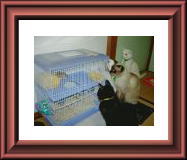 �C������