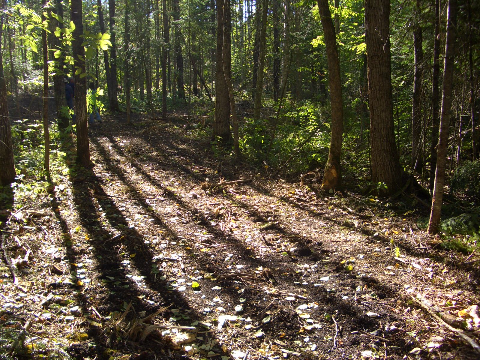 �т̎U���R�[�X